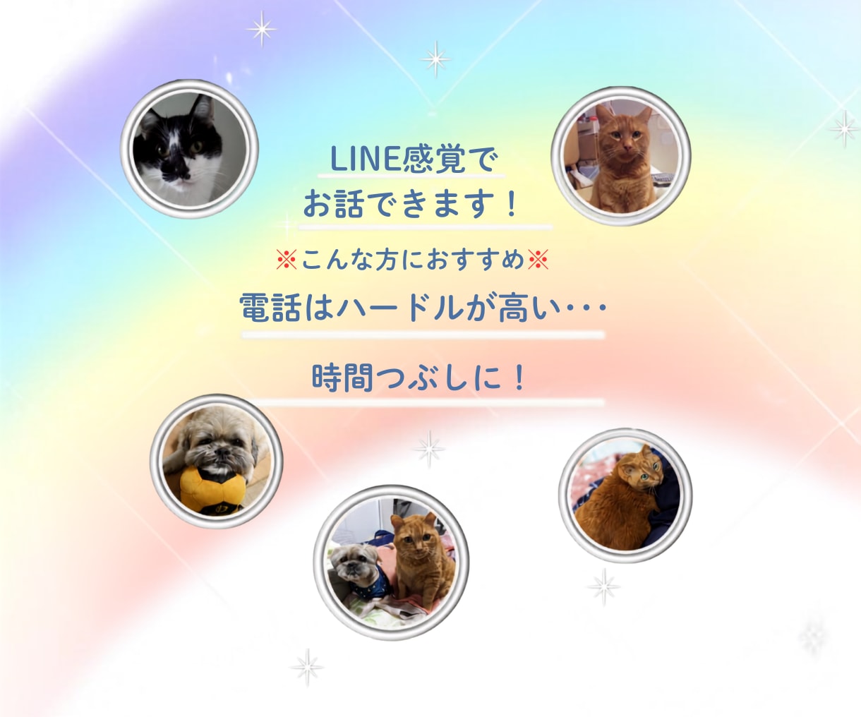 愛犬・愛猫を看取った経験者がシニア期の不安聴きます シニア期・介護の不安･･･。ひとりで抱え込まずお話ください イメージ2