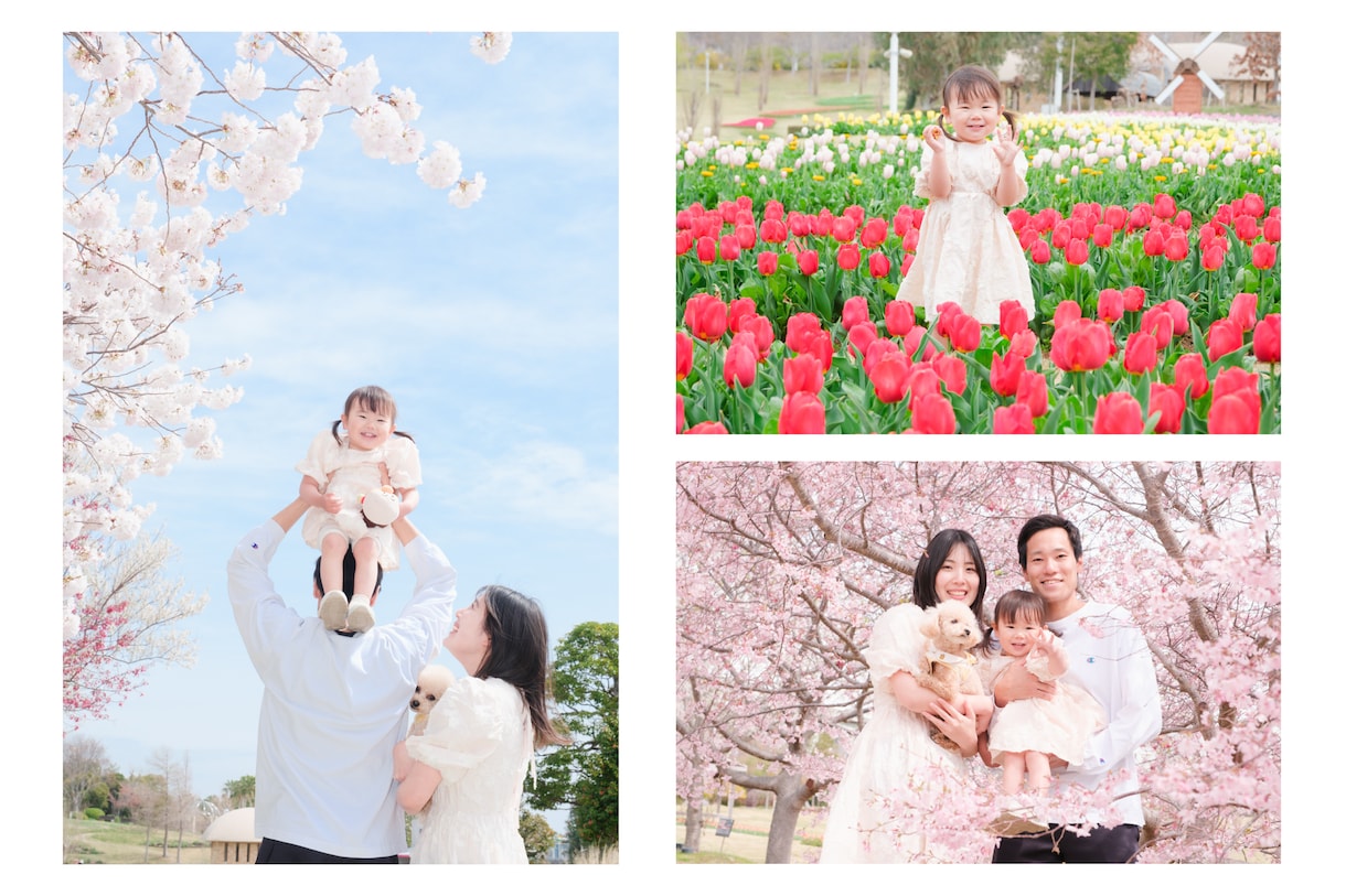 8月限定！プロ写真家がお得に出張撮影をします 個人写真・家族写真はお任せください！自然な表情を引き出します イメージ1