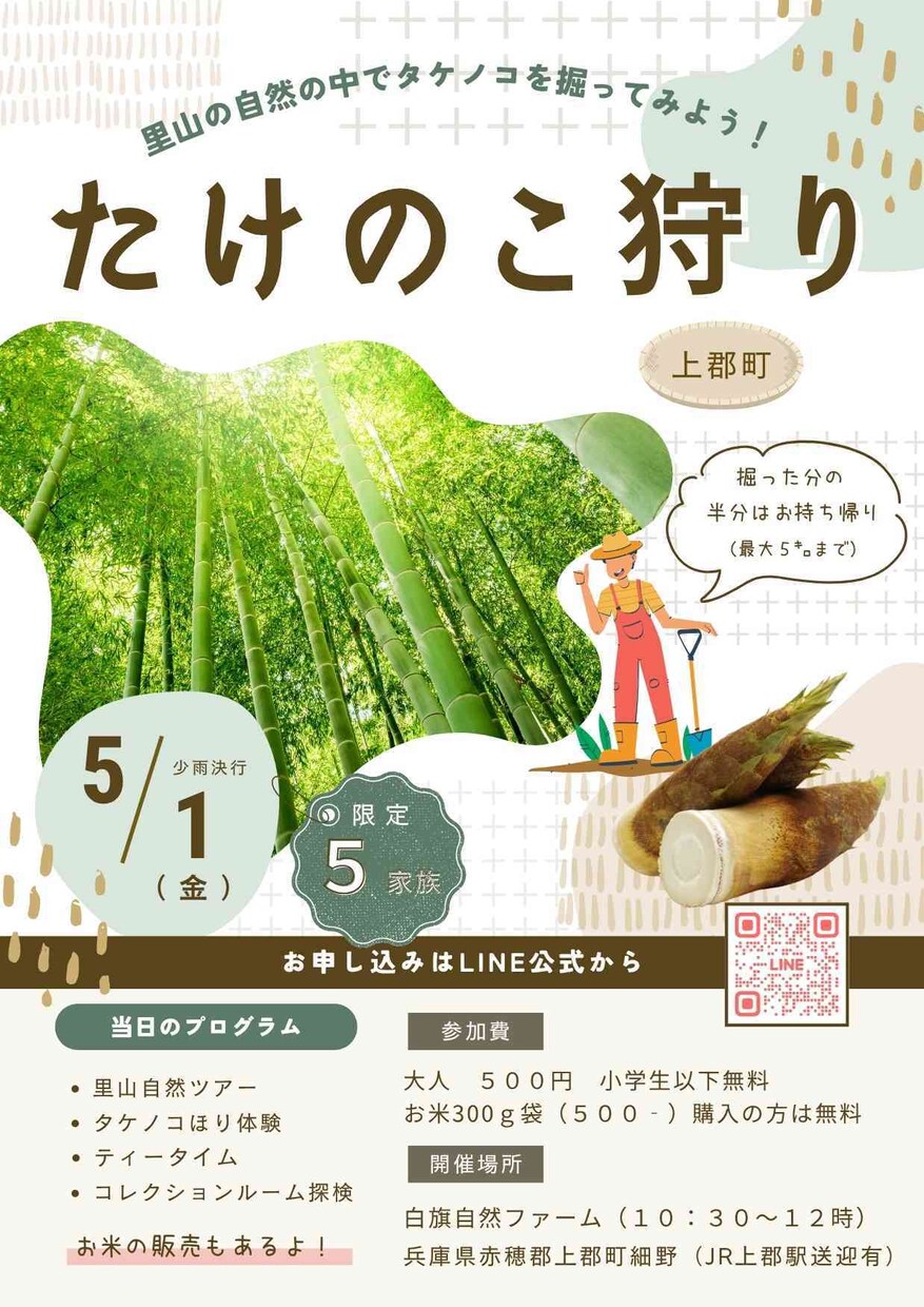LINE公式アカウントの構築代行します 初心者さん歓迎|LINE公式の開設〜リッチメニューまで丸投げ イメージ8