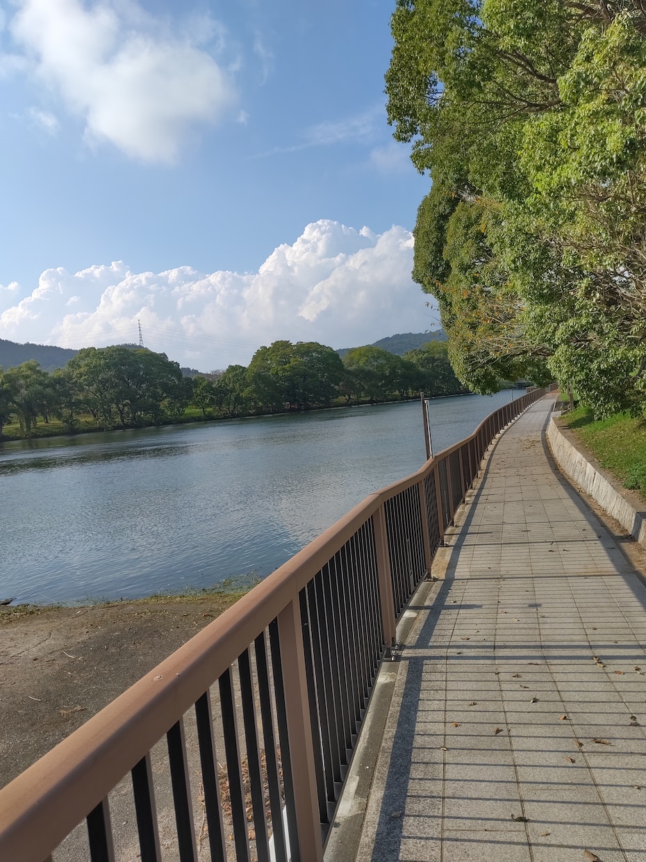 心のデトックス☘アラフィフママがサポートします 何でも書いてスッキリ(*^^*)明日の為にリフレッシュ！ イメージ3