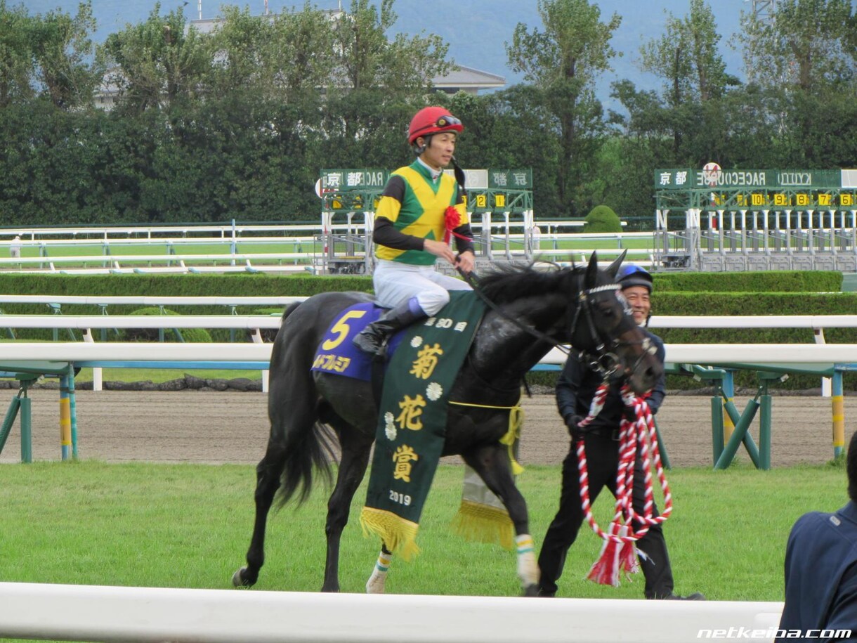 土曜日の中央競馬メインレースの予想をします 注目馬を5～7頭にしぼります。 イメージ1