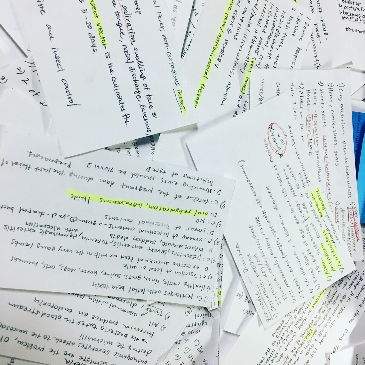 宿題や受験勉強などで出た疑問質問にすぐに答えます 英検対策から普段の宿題、受験勉強まで英語ならなんでもお任せ！ イメージ1