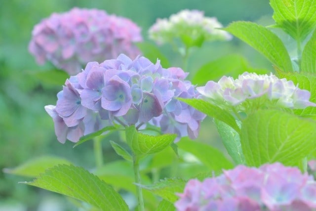 終わりのないトンネル【どん底】の気持ちお聞きします 【どん底の人生】辛い/苦しい/惨めな気持ち/先が見えない イメージ10