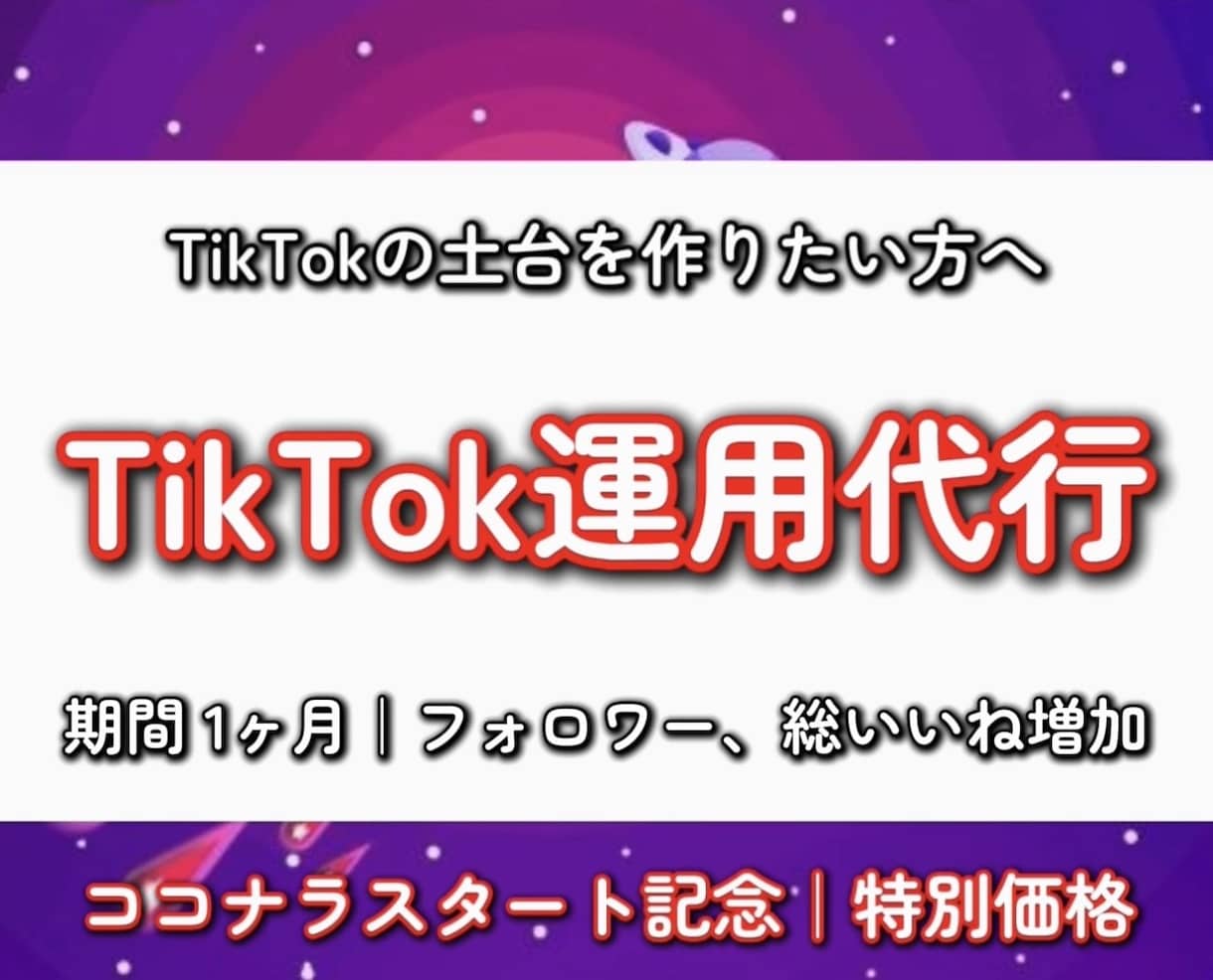 TikTok運用代行｜アカウントを伸ばします 1ヶ月で完全なTikTokの土台を作ります イメージ1