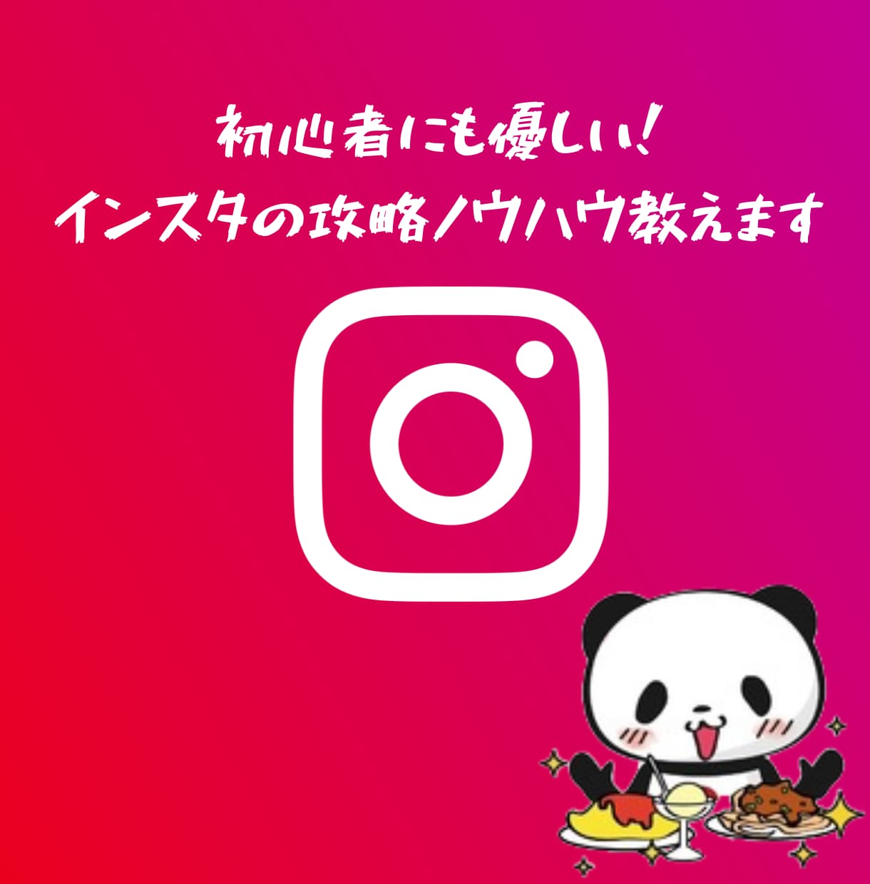 初心者にも優しい！インスタの攻略ノウハウ教えます インスタ初心者も安心！フォロワーの増やし方から報酬を貰うまで イメージ1