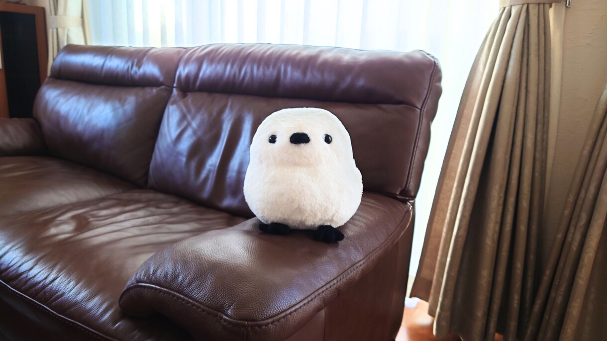 今すぐOK♥️アナタのお片付けを全力サポートします 電話しながら*一緒に*お掃除シマせんか？ イメージ3