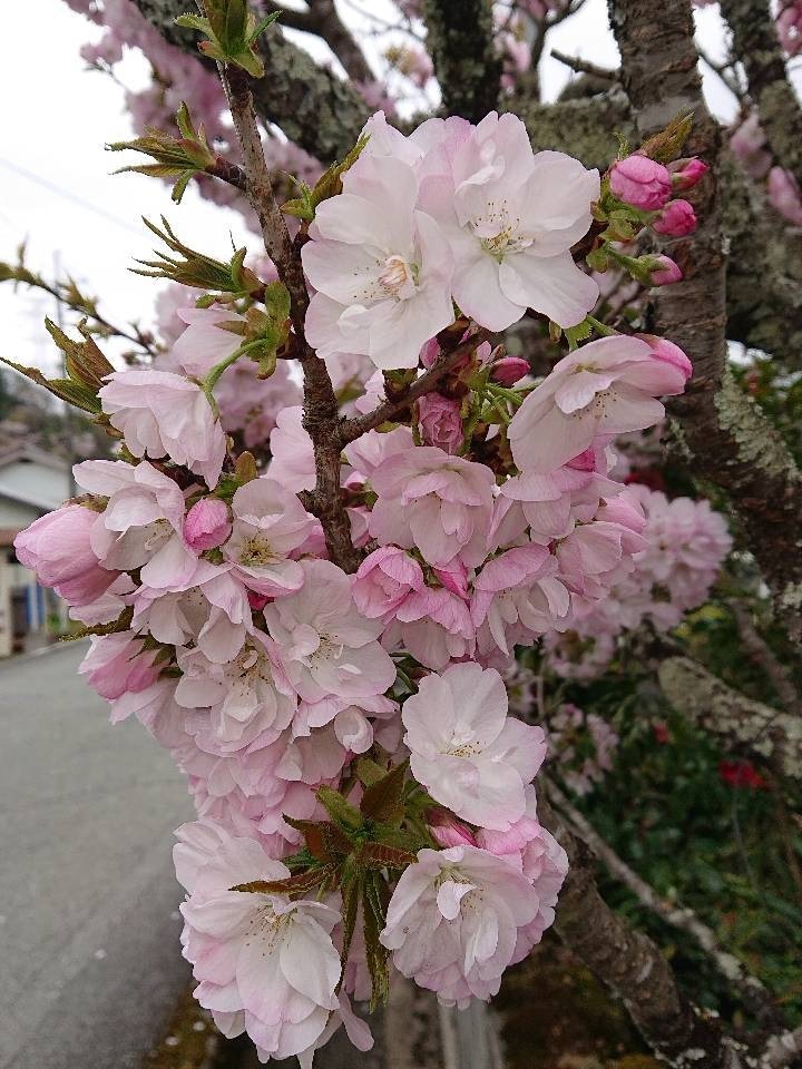 楽しい時間のお相手をさせていただきます 暇つぶし 聞いてほしい話 寂しい時間のお相手致します イメージ1