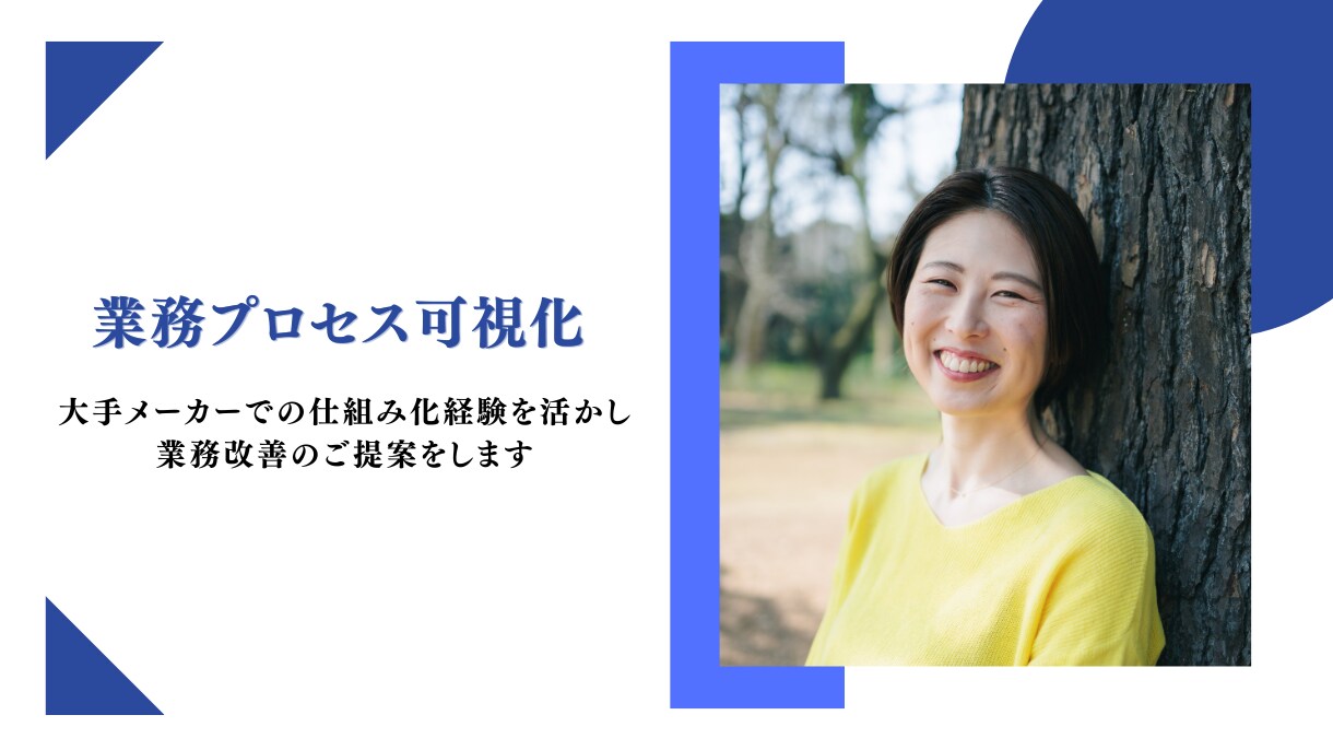 業務プロセスを可視化して改善提案します 大手企業での仕組み化経験を活かし工数削減や経費削減アドバイス イメージ1