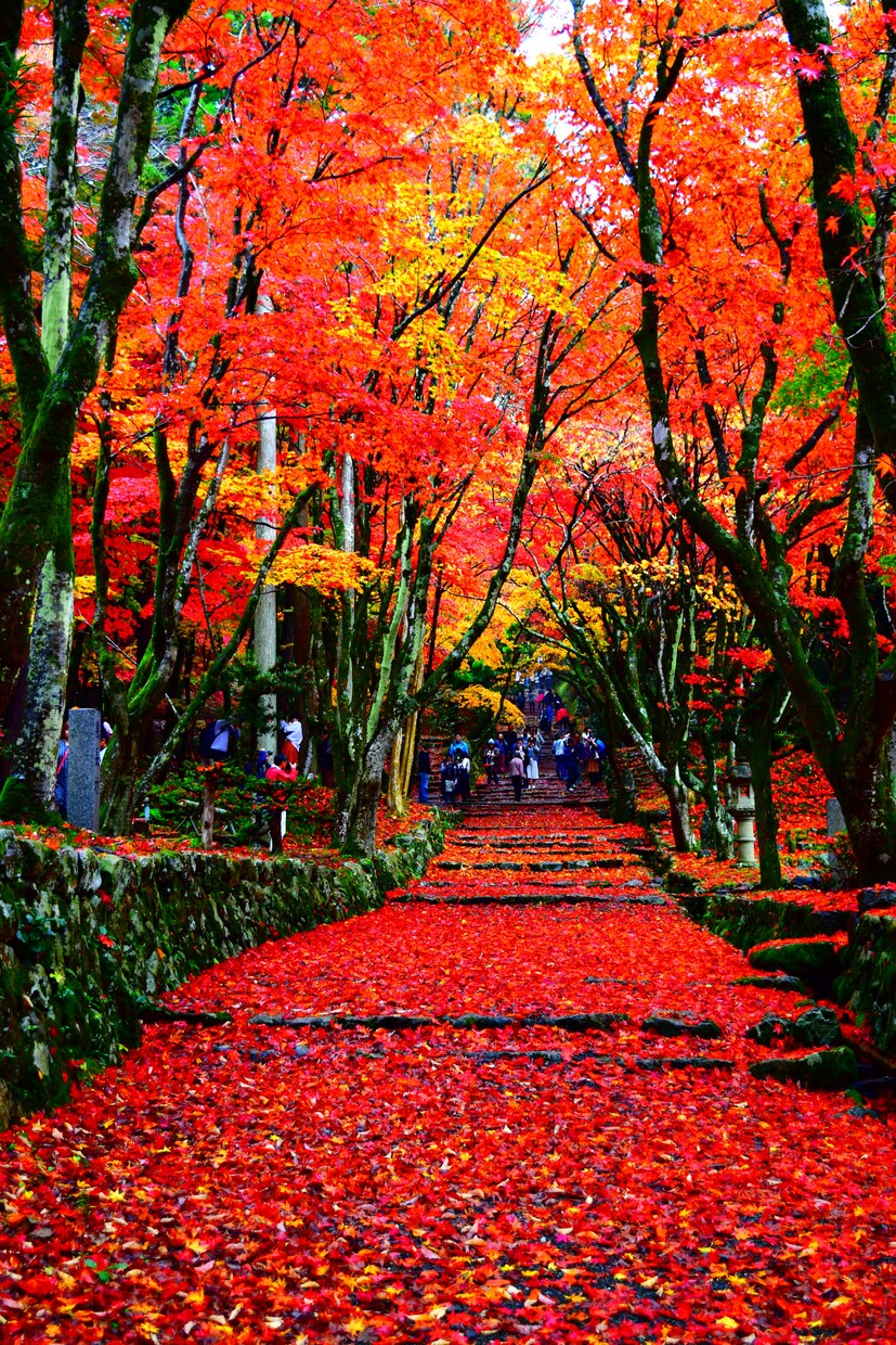 旅行の計画考えます あなただけの旅行プランご提案します。 イメージ1