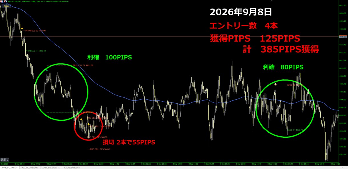 FX　GOLD特化型サインインジケーターとなります GOLD専用｜M1〜M30対応  GLL_Arrow イメージ8