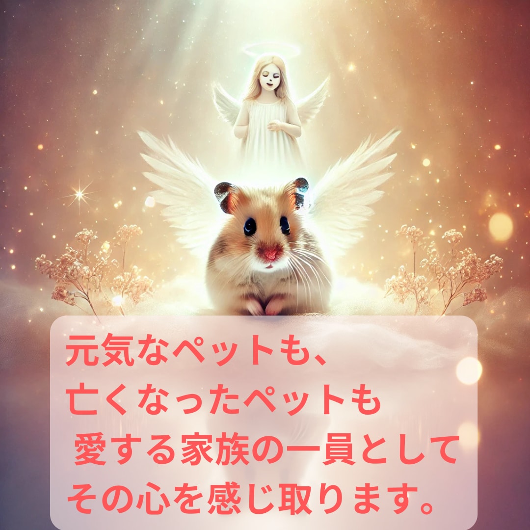 霊感霊視と四占術でペットの気持ちを精密に視ます 大切な家族の気質や本音をロジカルに分析し絆を深めます イメージ5