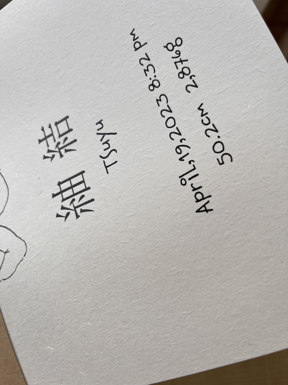 シンプルでおしゃれな似顔絵命名書作成します 鉛筆で描いたようなシンプルなイラスト命名書でお部屋を彩ります イメージ3