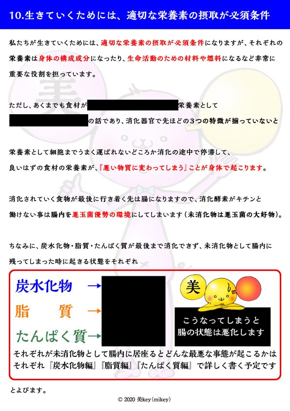 食材を栄養素or腐敗物にするかは酵素力で決まります 消化酵素活性に絶対必須の３条件 イメージ3