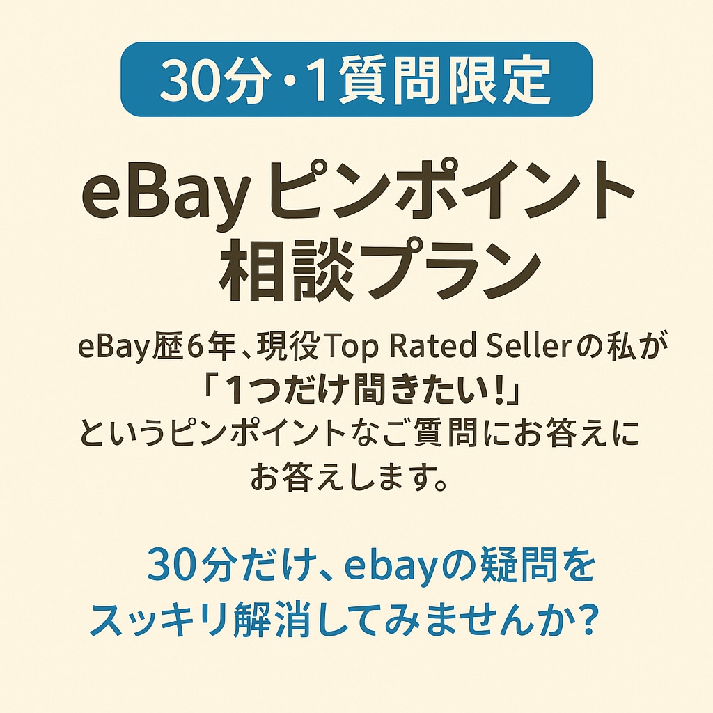 eBayの質問1つだけOK！相談お引き受けします 30分！eBayのどんなご質問にも対応します イメージ1