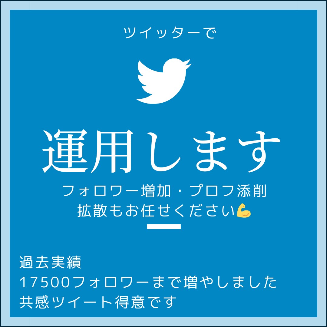 Twitter運用のコンテンツ作り手伝いします プロフ添削・ツイート作成などの土台を作ります！ イメージ1