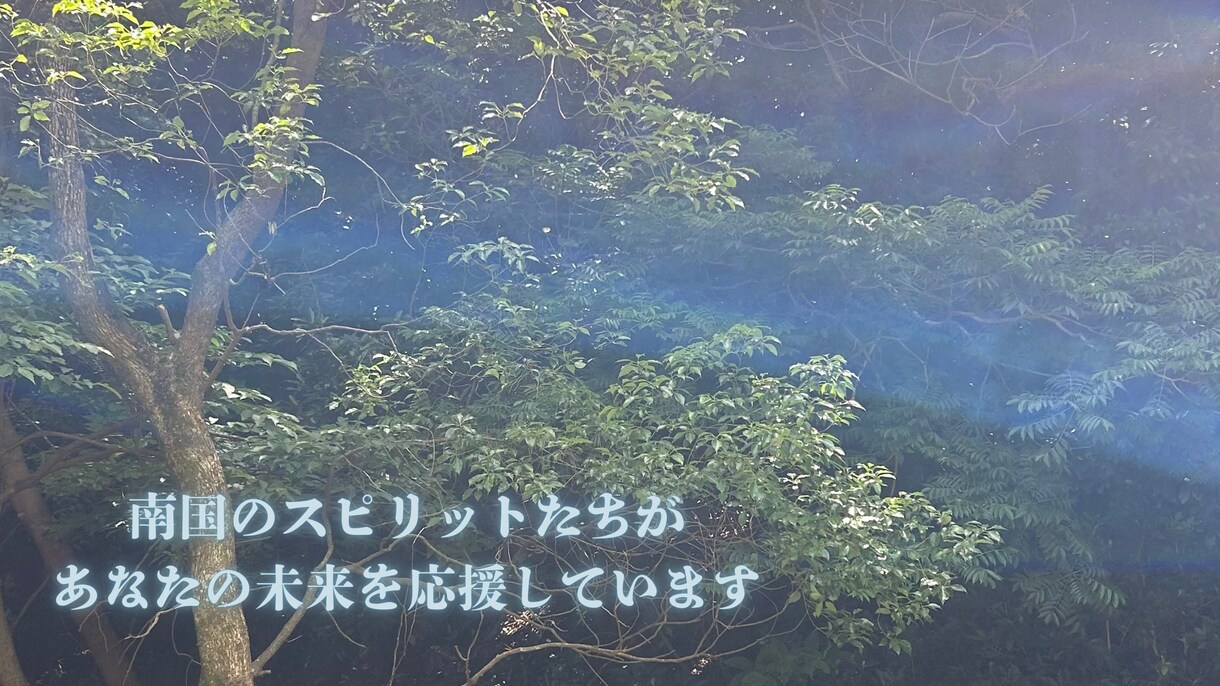 あの人との未来を占います 復縁、不倫、浮気、あの人の気持ちをお伝えします イメージ8