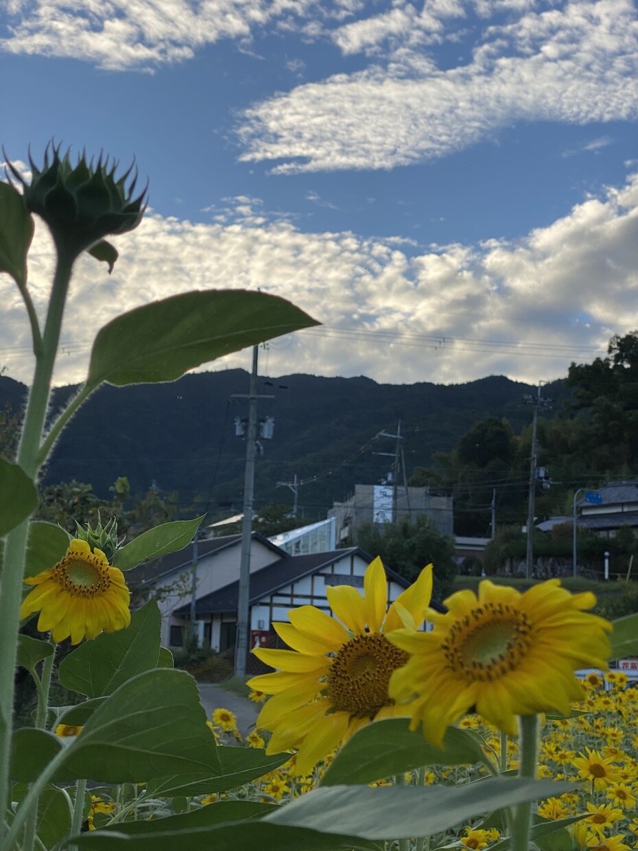 なんでも話聞きます どんな悩み、相談もサクッと解決！ イメージ2