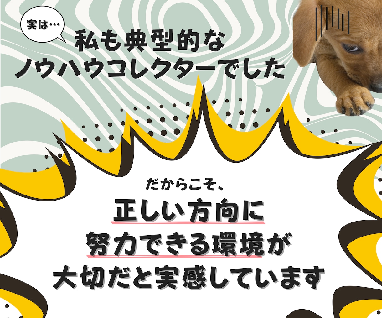 コンテンツ作成から収益化までサポートます 初心者さんでも大丈夫！将来にも役立つスキルを身につけませんか イメージ7