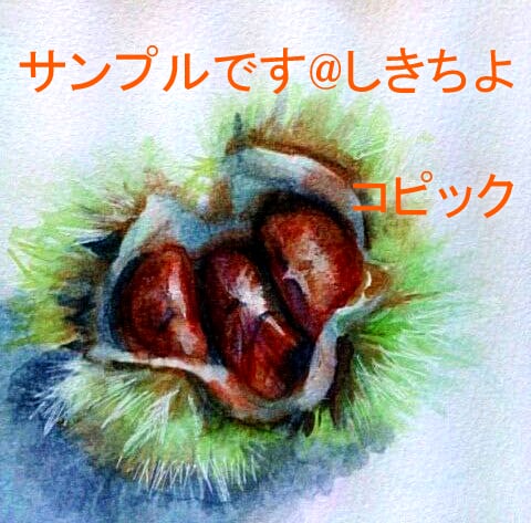 季節の絵はがき用に手描きのイラスト描きます イメージ2