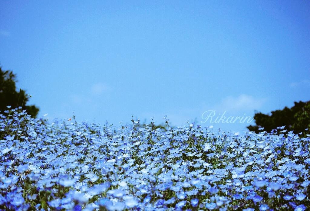 望む未来へ３日間♥延長ありでサポートします 魂の願い♥心の願い♥高次元存在たちとサポートしています♥ イメージ9