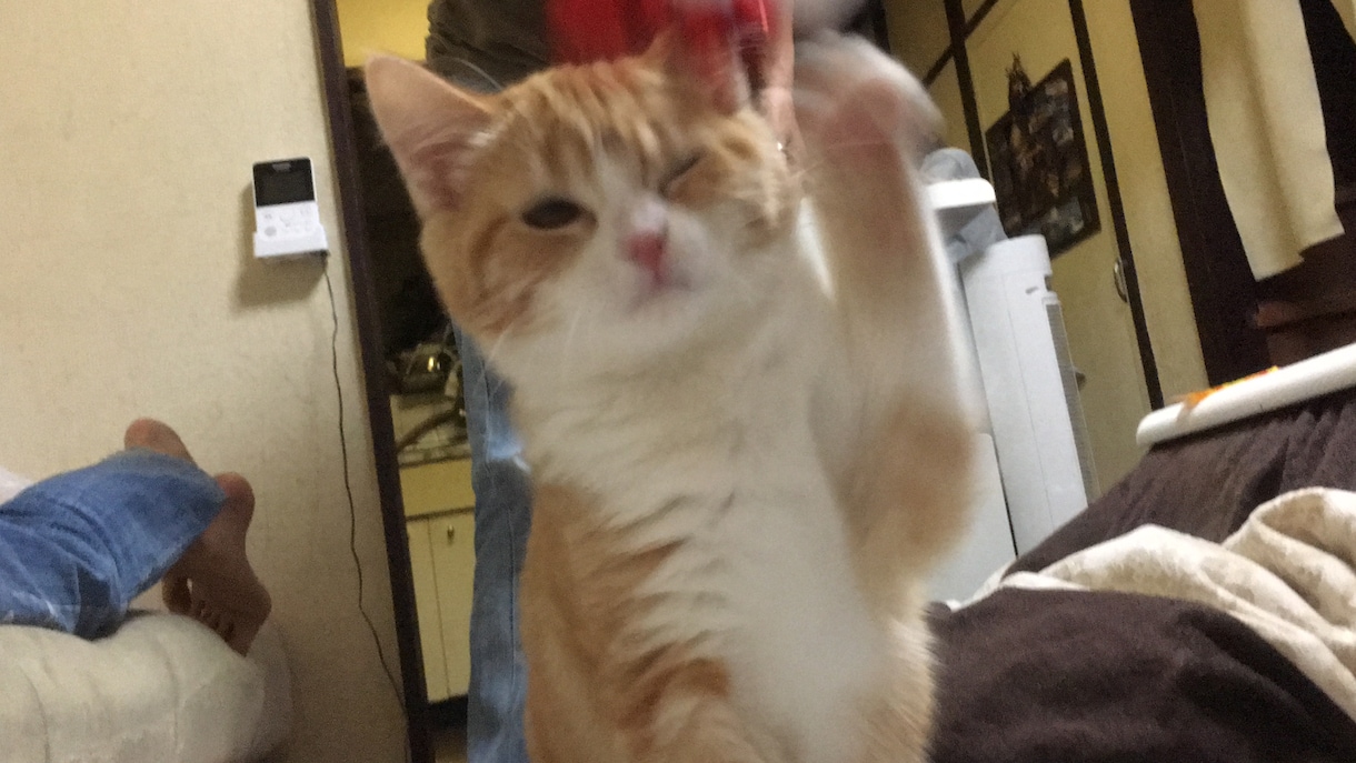 あなたのネガティヴをポジティヴに変えます 嫌なこと、辛いこと、悩みがあるあなたへ イメージ1