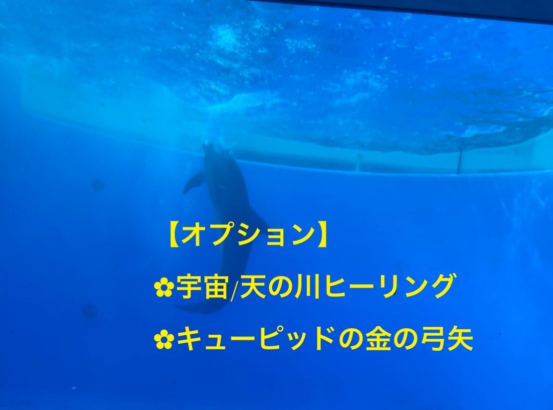 全身のチャクラ修正します ヒーリング・チャネリングより必要なメッセージをお伝えします！ イメージ3