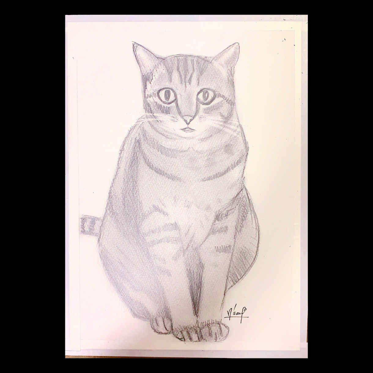 ペットの写真鉛筆画で描きます 大事なペットの似顔絵、リアルに鉛筆画で色紙に描きます イメージ2