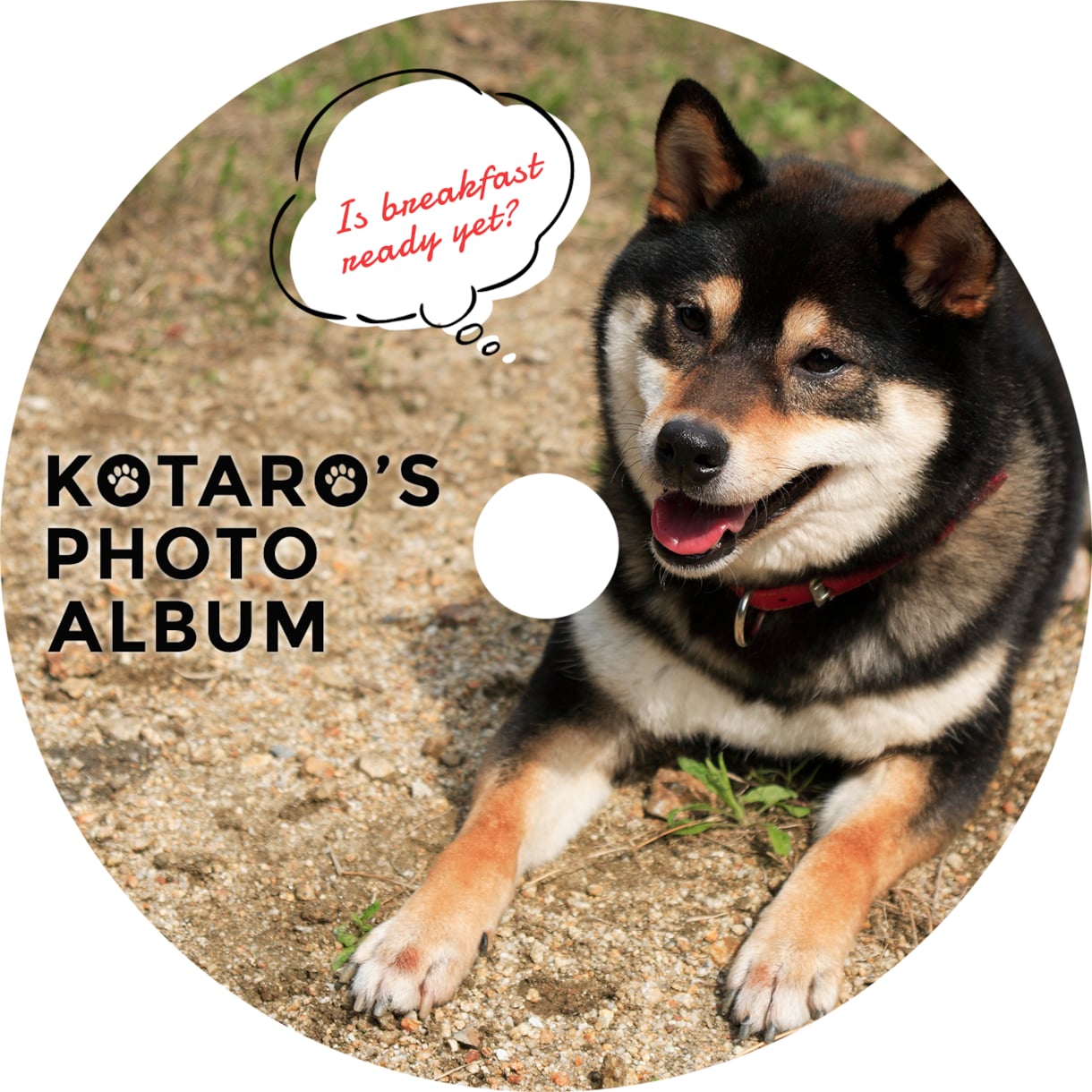 オリジナルのCD/DVDラベルをデザインします 録画した卒業式などのディスクを、素敵なラベルで飾りませんか？ イメージ2
