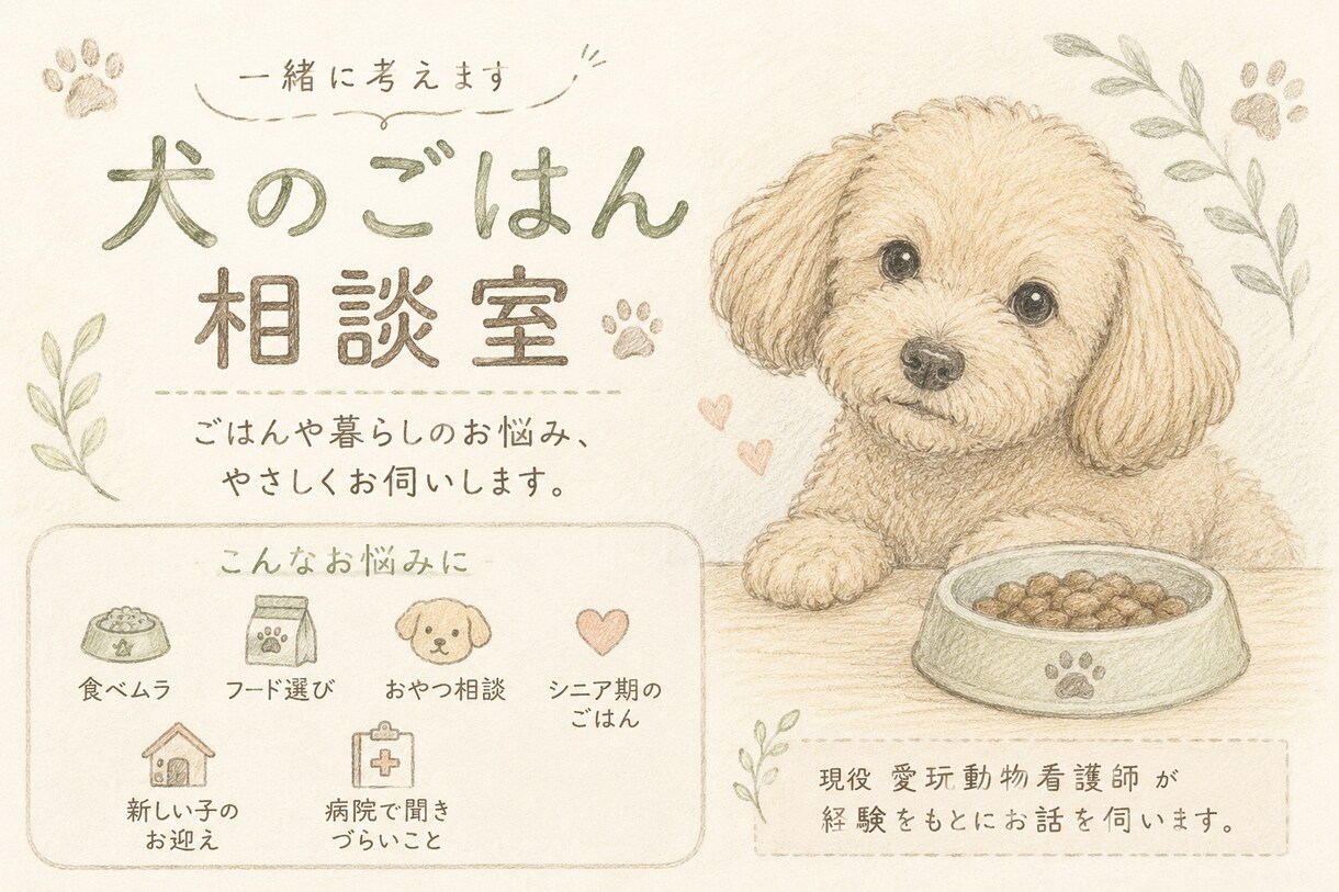 犬のごはんや暮らしのお悩み伺います 現役愛玩動物看護師がその子にあった解決策を一緒に探します イメージ1