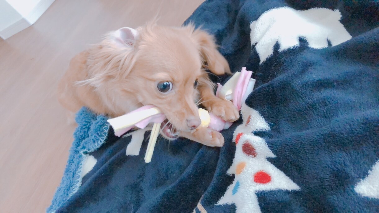 仕事の悩みなどを聞きます 仕事の人間関係などの悩みを抱えてるあなたへ イメージ1