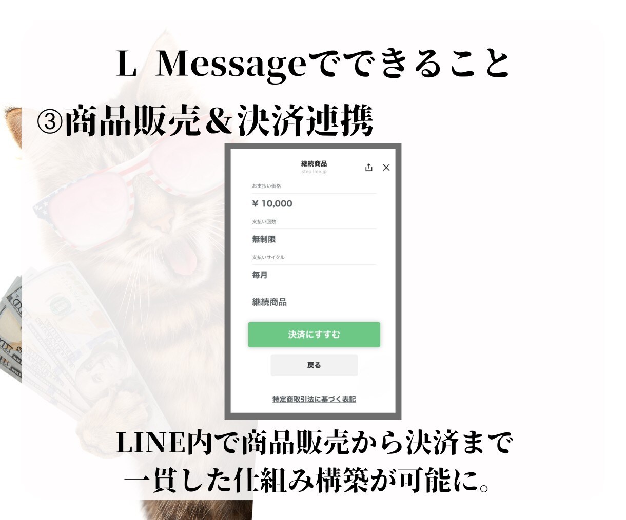 LINE公式アカウント作成もエルメの導入もやります エルメ導入で性能アップしたLINEを制作いたします！ イメージ5