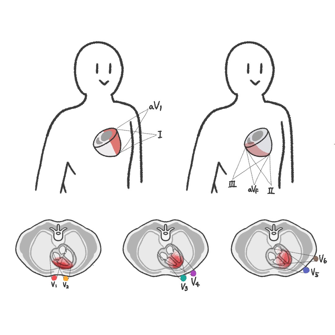 医療系イラスト描きます 薬剤師がシンプルでわかりやすいイラストを描きます。 イメージ3
