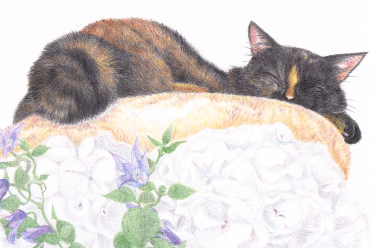 ペットの似顔絵をお好きなお花と共にお描きします 原画郵送！/ハガキサイズから/額縁付き/お花と動物 イメージ1