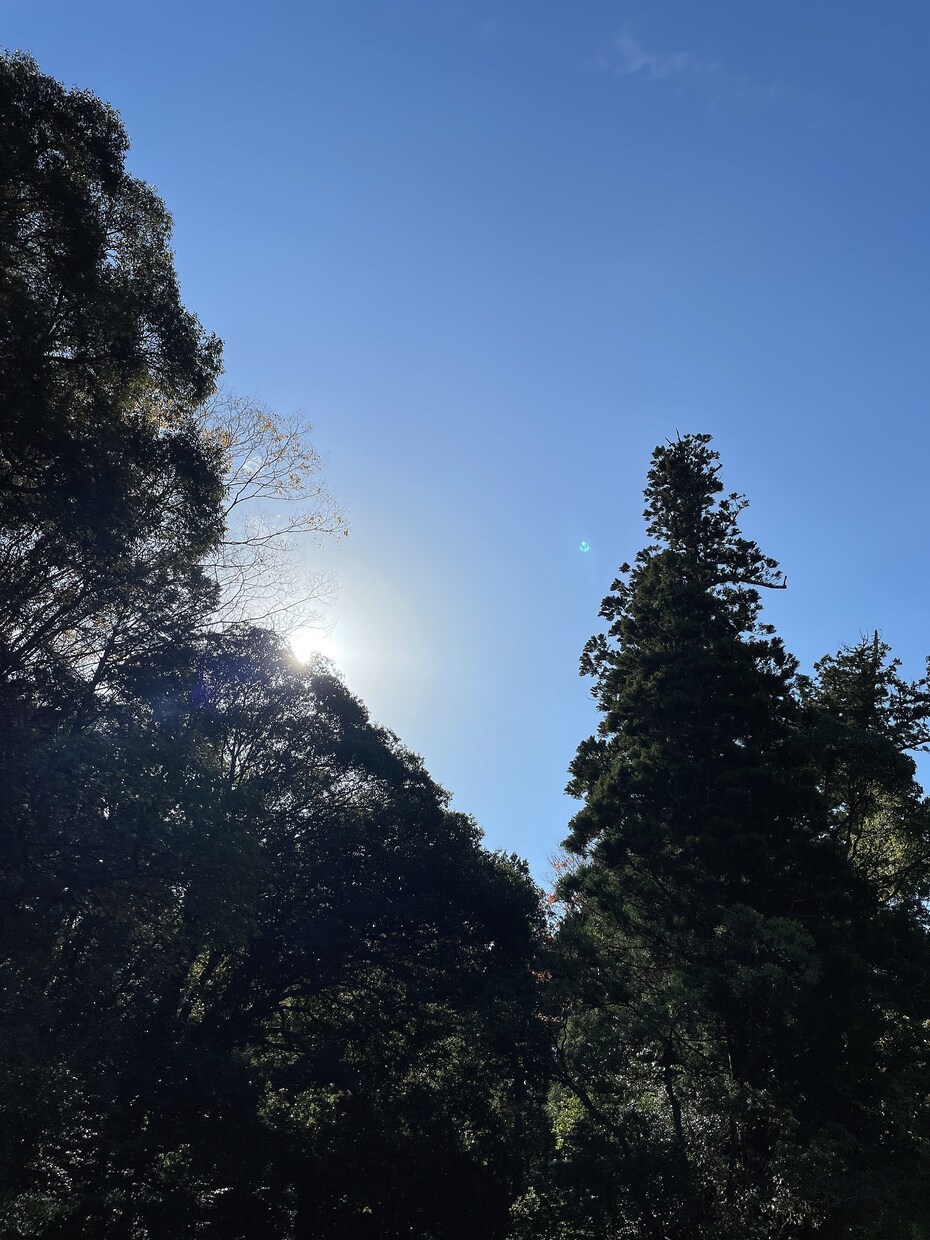 恋愛って難しいとお思いのあなたへ答えを出します 幸せになりたいだけなのに、そんな人へ是非答えを導き出します！ イメージ1