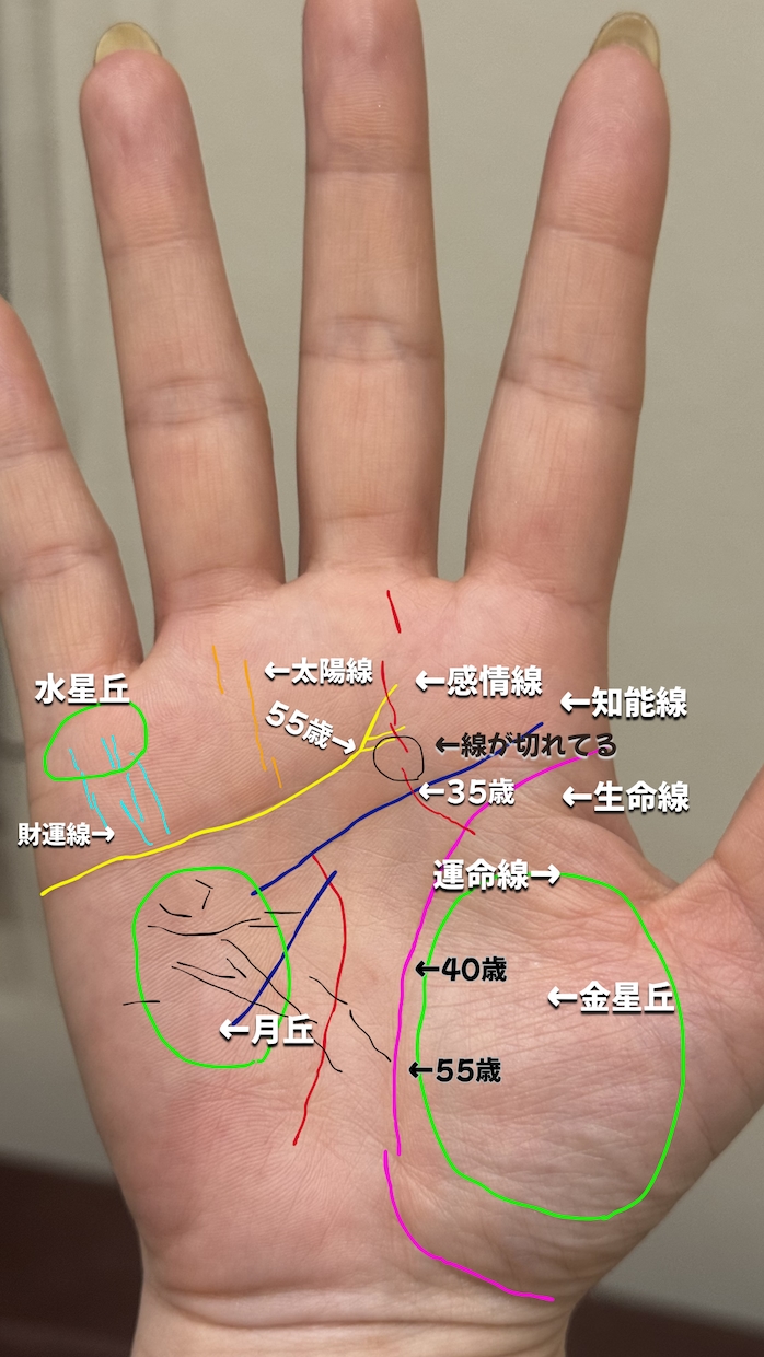 金運だけサクッと見てほしい人へ！鑑定します まずは金運から！　鑑定結果から、すぐできるアドバイス付き イメージ2