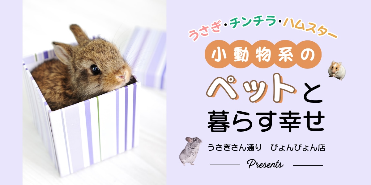 商品やイベントのバナー作成を行います 皆さんが伝えたいことをキャッチしてデザインにします！ イメージ7