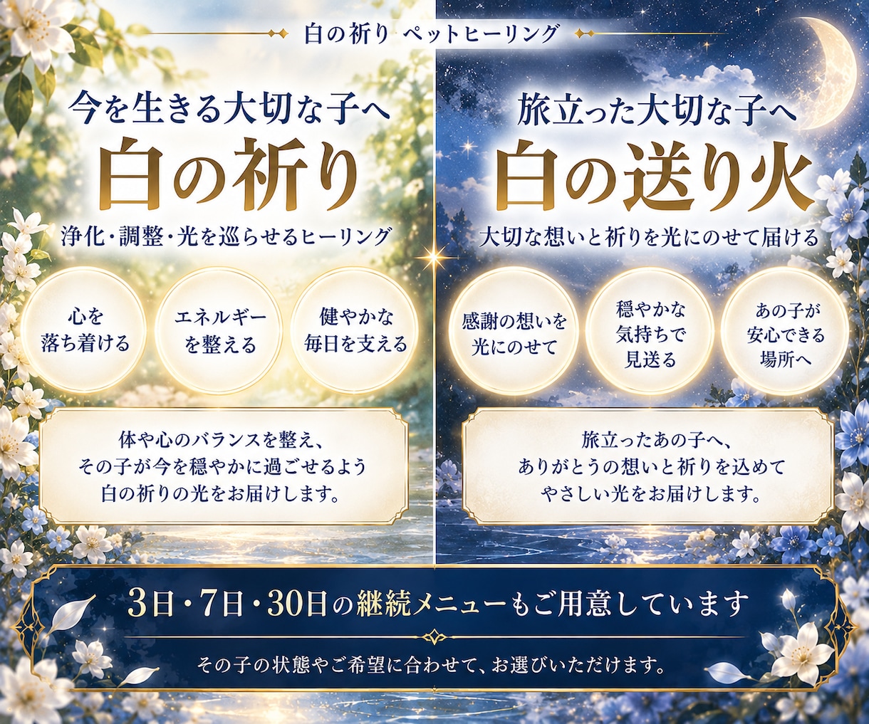 大切なペットへ癒しの遠隔ヒーリングを届けます 療養中・シニア・旅立った子へ｜白の祈りと癒しの光を届けます イメージ2