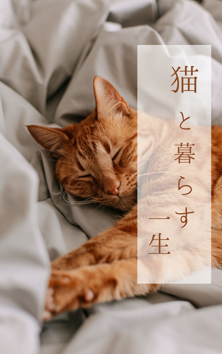 Canvaで電子書籍の表紙作成します 最短で即日納品可能です、練習なのでお勉強させていただきます！ イメージ3