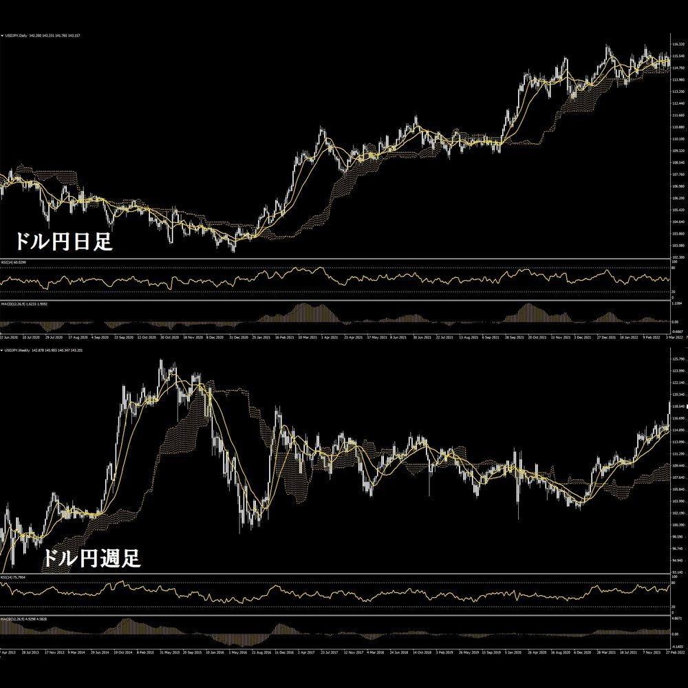 FX、バイナリーオプション用独自インジお譲りします FX スクール、サロン用の一目雲改、RSI改、MACDインジ イメージ6