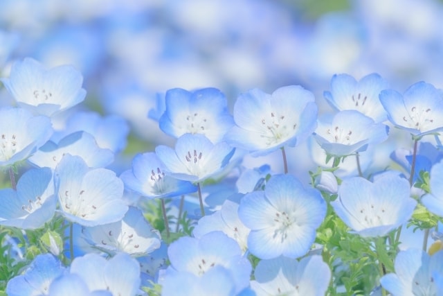 お仕事をはじめとする日々のお悩み伺います ホッとする居場所になりたい(*^^*) イメージ9