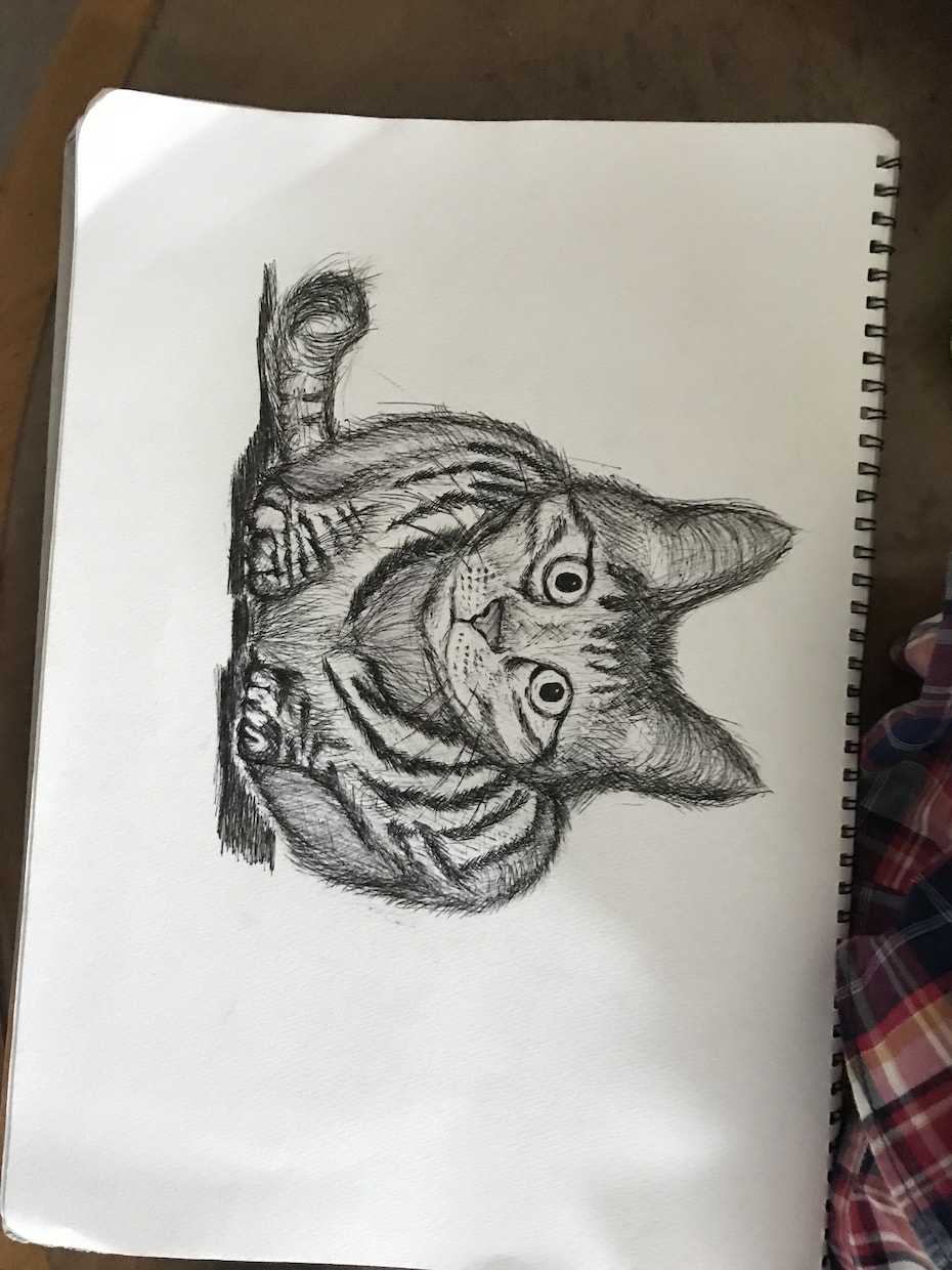 動物イラスト描きます 色を使わずにボールペンだけで表現します。 イメージ2