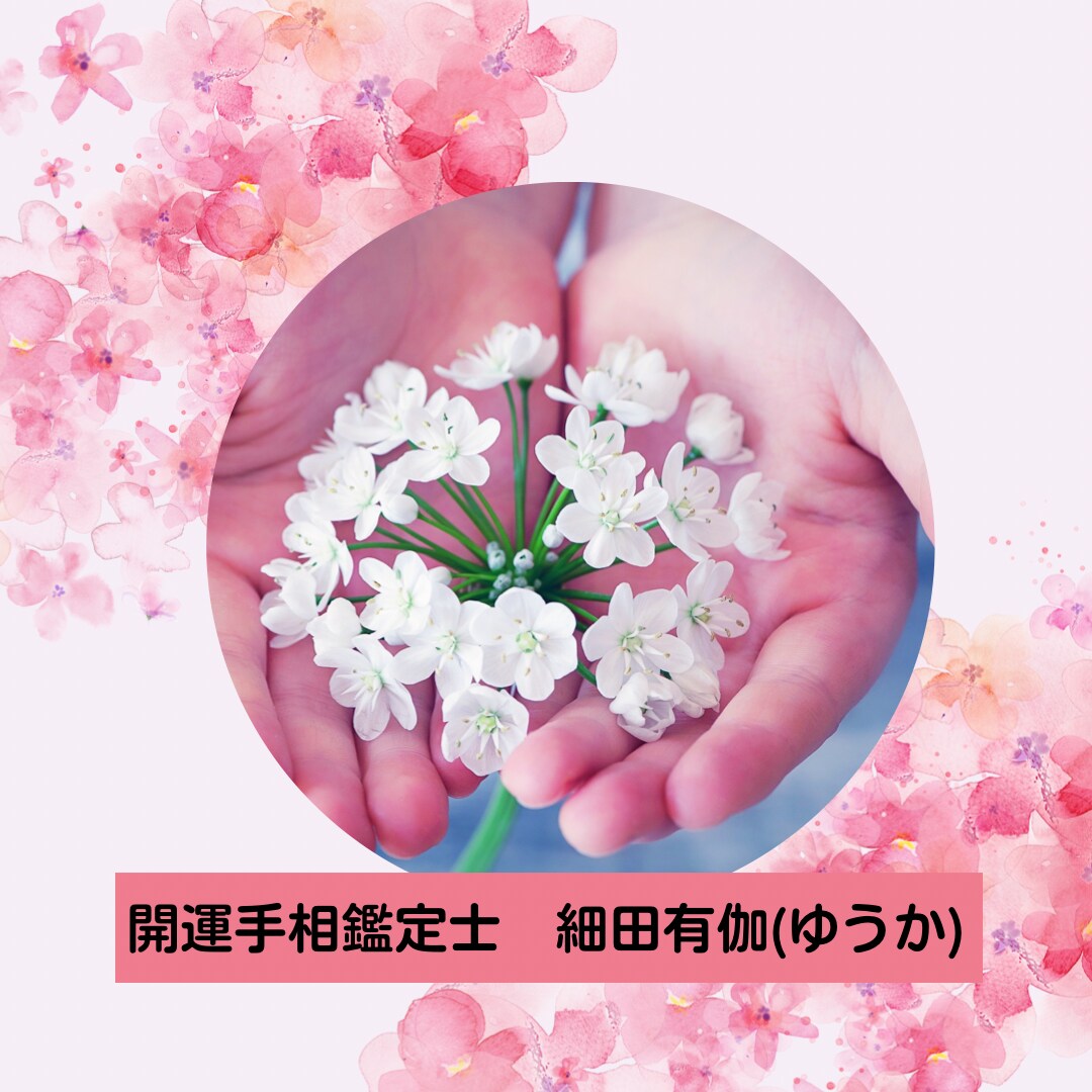 手相が変わればあなたの人生開運します ほしいままに手相を育てる手相育成プログラム イメージ1