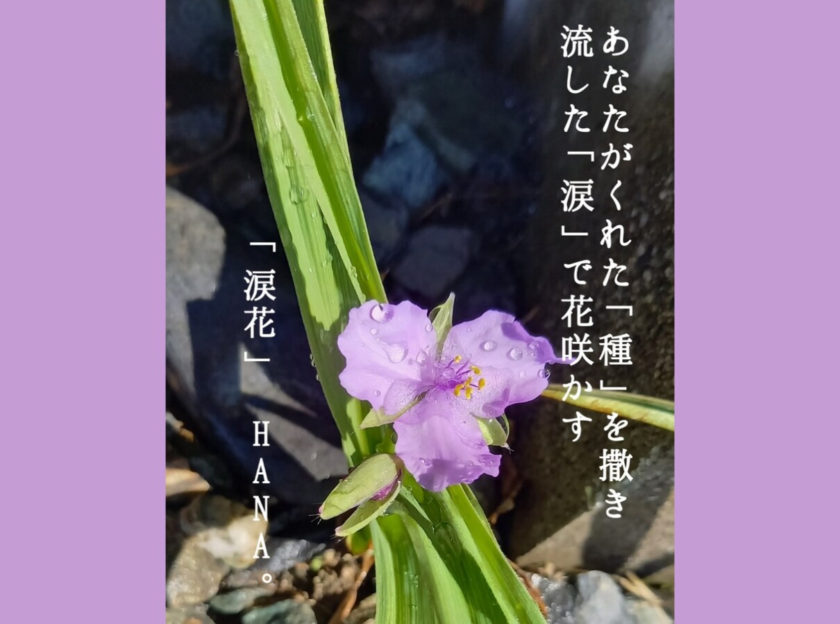 日々の雑談や小さな悩みも♡詩人HANA。が聞きます 詩人HANA。と1時間のチャット。雑談・お悩み何でもOK! イメージ7