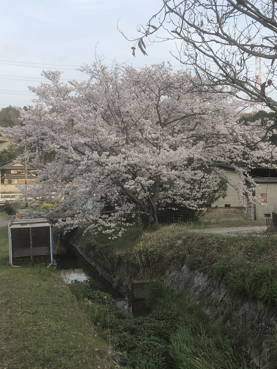 あらゆる事の相談にのります 今まで店舗経営、運営、管理、人材育成などをしてきました。 イメージ2
