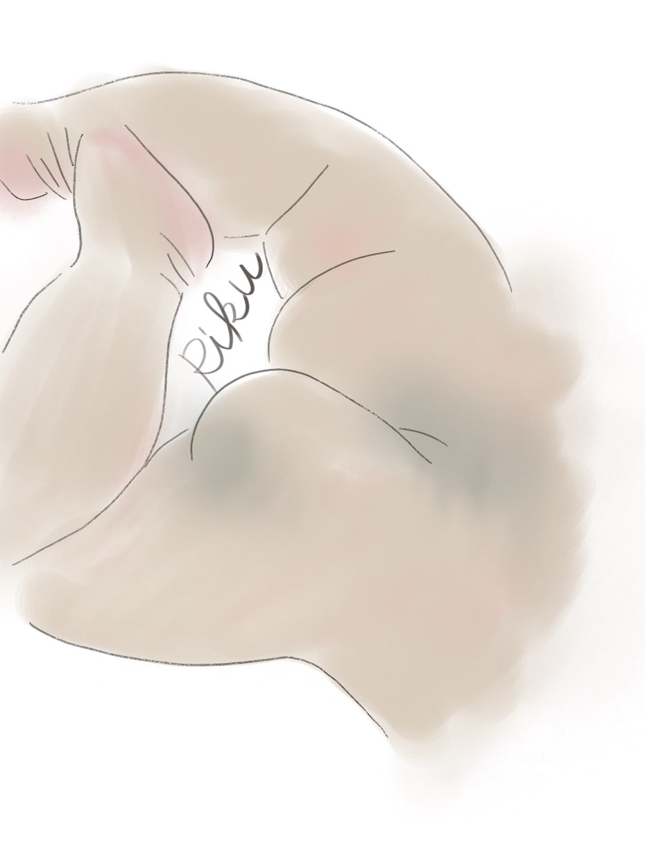 全ての思い出を、おしゃれなイラストにします 【実績作りのため５月迄格安】おしゃれで素敵な思い出のイラスト イメージ2