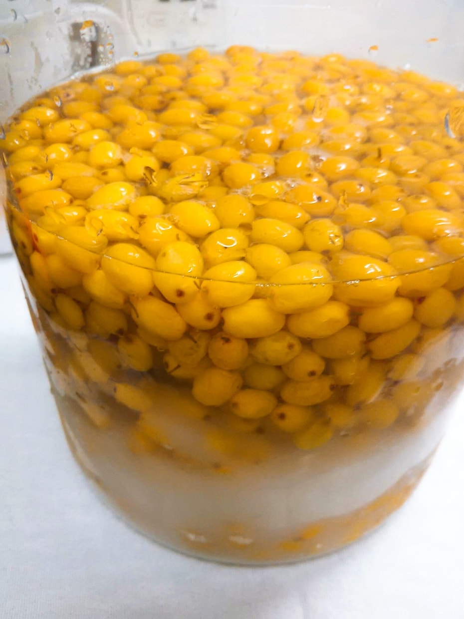 離乳食や酵素食、野菜の冷凍食材使用法を提供できます 幼児食、酵素ジュースの作り方や料理方法などを提供しています。 イメージ5