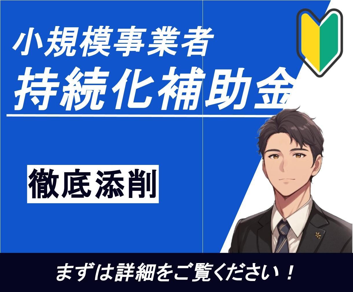 小規模事業者持続化補助金の事業計画書を添削します ベテランが添削／審査ポイントを押さえる／はじめての補助金申請 イメージ1