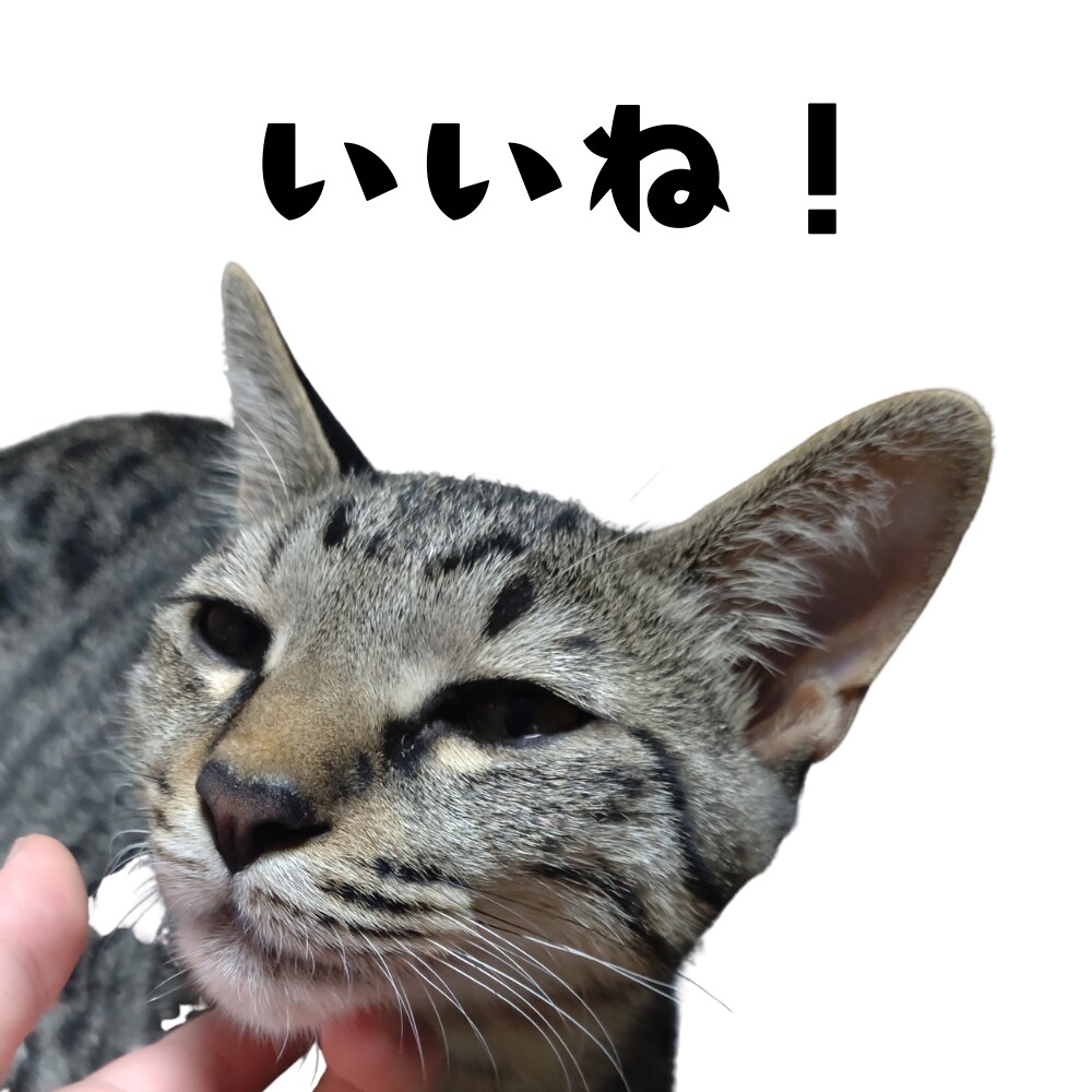 ペット写真からLINEスタンプ16個セット作ります ☆大切なペットをオリジナルLINEスタンプに イメージ4