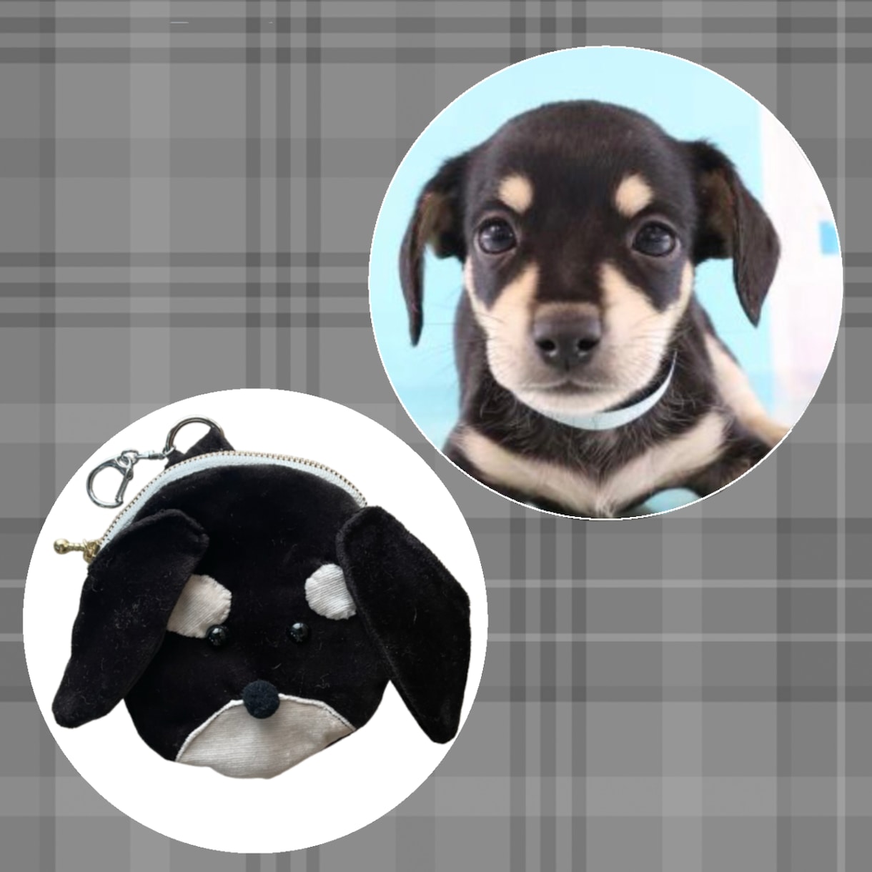 愛犬ポーチ作ります 世界にひとつだけ！貴方だけの愛犬グッズ！ イメージ7