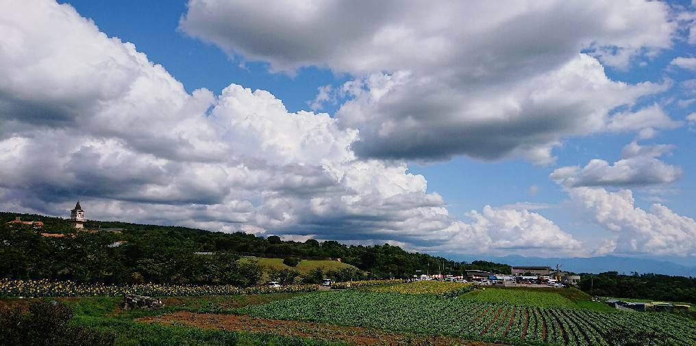スマホで撮影した四季の風景写真をお届けします 「なんだか癒された」と思ってもらえる写真をめざしています イメージ4